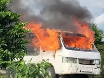 Kakak-Adik di Buton Tengah Curi Sapi Warga, Pelaku Diamuk Massa-Mobil Dibakar