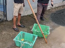 Kagetnya Pak RT di Bekasi Saat Sepeda Motornya Jadi Panggulan Buah