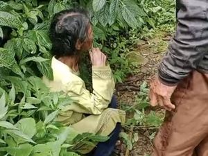 Misteri Nenek Susi Seorang Diri di Tengah Hutan Beruk Karanganyar