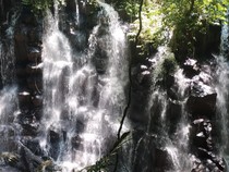 Air Terjun Ini Lebih Terkenal di Mata Turis Asing daripada Warlok Bali