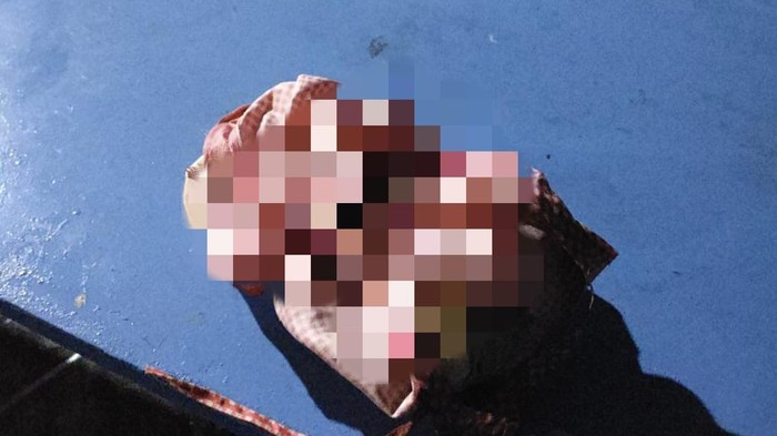 Bayi Perempuan Ditemukan Tewas Dalam Tempat Sampah Pabrik Boneka