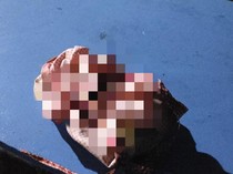Jenazah Bayi Ditemukan dalam Tempat Sampah Pabrik Boneka di Gresik