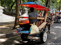 Viral Delman Getok Tarif di Bandung, Ini Kata Kusir Resmi