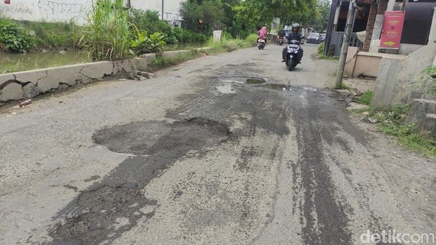 jalan di sidoarjo ditanam pohon pisang