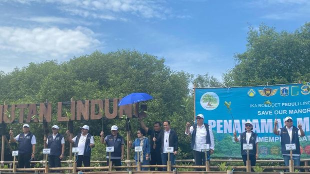Presiden ke-5 RI Megawati Soekarnoputri hingga Chairul Tanjung melakukan penanaman bibit mangrove di PIK (Dwi Rahmawati/detikcom)
