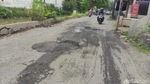 Warga Sidoarjo Protes Jalan Rusak dengan Tanam Pisang