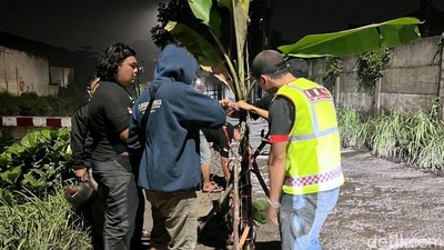 Warga Sidoarjo Protes Jalan Rusak dengan Tanam Pisang