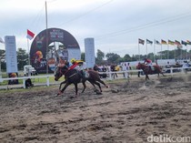 Cerita Prabowo Belikan 28 Kuda Terbaik demi SEA Games dan Kualitas Peternakan
