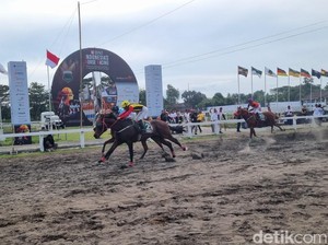 Cerita Prabowo Belikan 28 Kuda Terbaik demi SEA Games dan Kualitas Peternakan