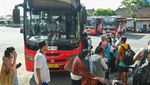 Trans Metro Dewata Kembali Beroperasi
