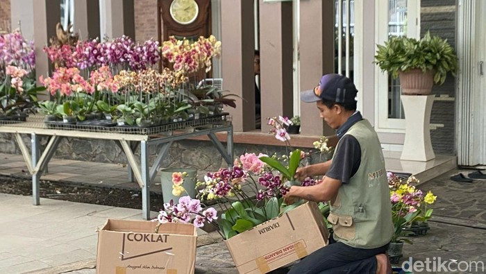 Anggrek salah satu tanaman hias paling banyak dibudidayakan di Kota Batu.