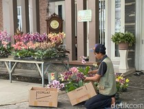 4 Macam Tanaman Hias Paling Banyak Dibudidayakan di Kota Batu