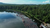 Foto udara keramba apung budidaya ikan air tawar milik petani di danau Ranu Klakah, Desa Tegalrandu, Kecamatan Klakah, Lumajang, Jawa Timur, Senin (21/4/2025).  