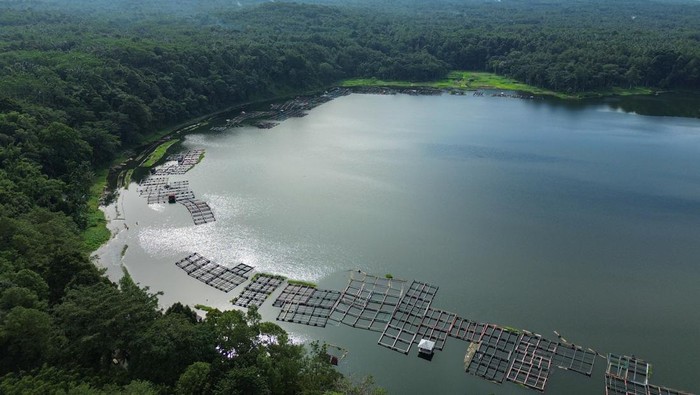Foto udara keramba apung budidaya ikan air tawar milik petani di danau Ranu Klakah, Desa Tegalrandu, Kecamatan Klakah, Lumajang, Jawa Timur, Senin (21/4/2025). Menurut petani, budidaya ikan air tawar jenis nila di kawasan tersebut dapat menghasilkan 1,5 kuintal ikan per satu kali panen dari satu petak keramba berukuran 22 meter persegi dan dapat dipanen setiap bulan yang kemudian dijual Rp35 ribu per kilogram. ANTARA FOTO/Irfan Sumanjaya/YU