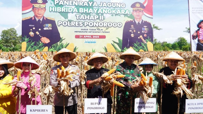 Forkopimda Ponorogo panen jagung hibrida Bhayangkara Tahap II