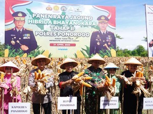 Forkopimda Ponorogo Panen Raya Jagung Hibrida Bhayangkara Tahap 2