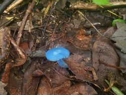 Foto Dikira Editan Photoshop Padahal Nyata Tanpa Rekayasa