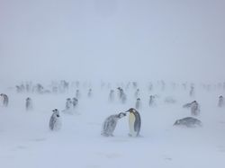 10 Misteri Menyeramkan di Antartika yang Tak Terpecahkan