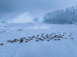10 Misteri Menyeramkan di Antartika yang Tak Terpecahkan