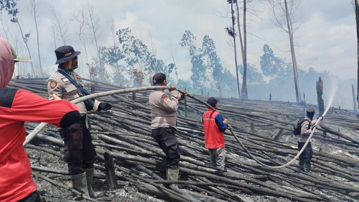 Petugas saat memadamkan lahan di TNTN. (Foto: Istimewa)