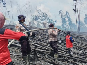 Kawasan Habitat Harimau-Gajah Sumatera di Pelalawan Terbakar, Pelaku Diusut