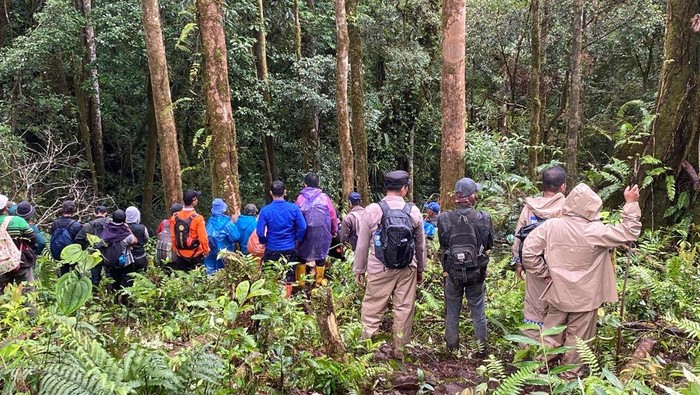 Tim SAR melakukan pencarian Wira yang hilang di hutan Desa Renah Kayu Embun, Sungai Penuh, Jambi