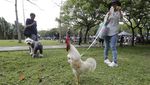 Warga Taiwan Asyik Santai di Taman Jelang Perayaan Hari Bumi