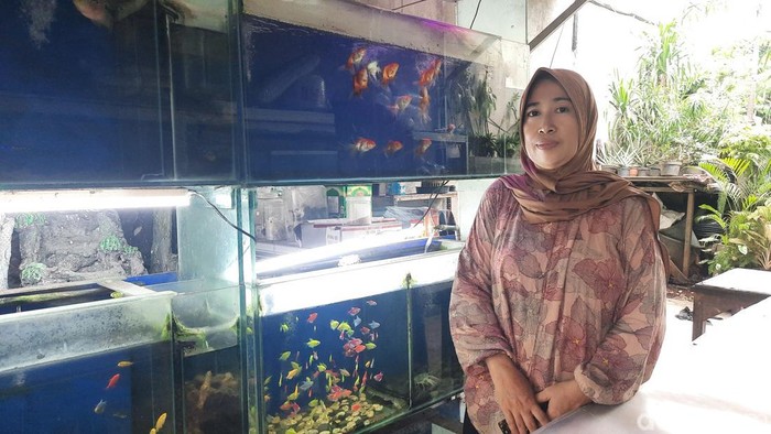 Yuni Widia, pengusaha ikan hias debitur KUR BRI Rawa Belong.