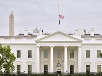 Taman White House Tak Lagi Hijau di Tangan Trump, Netizen: Norak!