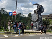 Patung Biawak di Wonosobo Viral, Sehari Bisa Dikunjungi 2 Ribu Orang