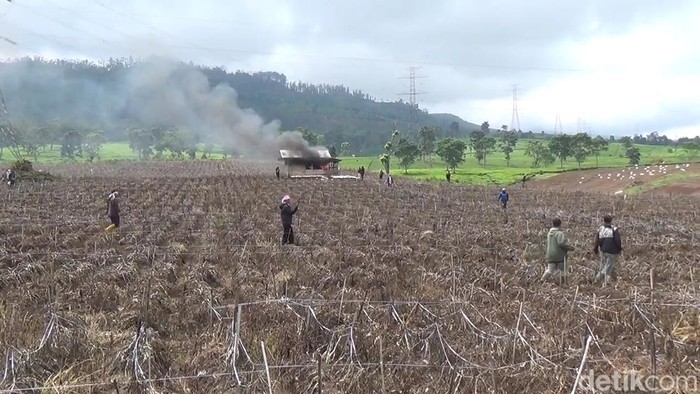 Petani teh saat meluapkan emosi lahan pertanian teh jadi perkebunan sayur.