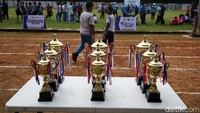 Para pemenang dari masing-masing tingkatan dan jenis olahraga tradisonal ini berhak melaju ke Pekan Olahraga Tradisonal tingkat Provinsi DKI Jakarta.