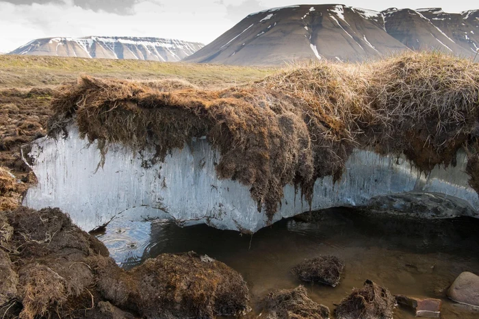 Bandara Svalbard dan Kepulauan Svalbard Norwegia