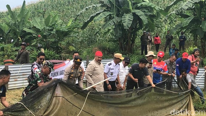 Bupati Kukar saat melakukan panen budidaya ikan bertempat di Kelurahan Maluhu.