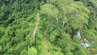 Tampak para wisatawan tengah menyelusuri Bukit Steling. 