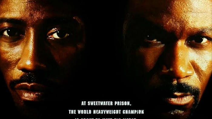 Film Undisputed