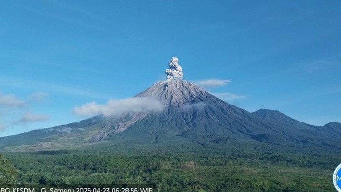 Gunung Semeru erupsi dengan tinggi letusan mencapai 900 meter di atas puncak pada Rabu (23/4/2025) pagi. (ANTARA/HO-PVMBG)