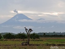 Gunung Semeru 2 Kali Erupsi Pagi Ini, Kolom Abu Letusan Capai 900 Meter