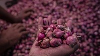 Pedagang menunjukkan bawang merah lokal di Pasar Johar, Semarang, Jawa Tengah, Rabu (23/4/2025). 