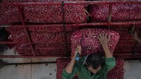 Menurut pengepul bawang merah setempat, harga bawang merah lokal di tingkat pengepul kini turun menjadi Rp 15.000 - Rp 25.000 per kilogram dari Rp 35.000 pada awal April 2025 yang dipicu melimpahnya pasokan dari Sulawesi dan NTB. 
