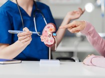 Daftar 8 Makanan Pembersih Ginjal Alami yang Aman dan Menyehatkan