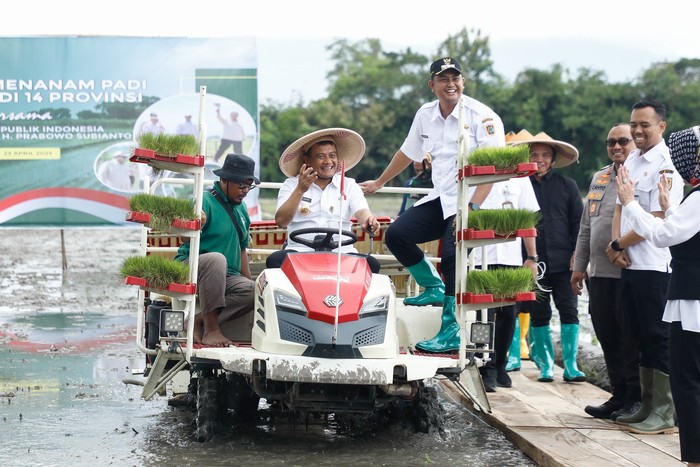 Jelang Kemarau, Ahmad Luthfi Genjot Penanaman Padi 250.000 Hektare