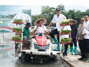Jelang Kemarau, Ahmad Luthfi Genjot Penanaman Padi 250.000 Hektare