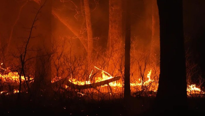 Kebakaran hutan di New Jersey, AS. (AP Photo/Chris Szagola)