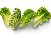 Ngeri! Gegara Selada Terkontaminasi Bakteri, Puluhan Orang Jatuh Sakit