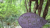 Wali Kota Bandung Muhammad Farhan rencananya akan membatasi kunjungan wisata ke tempat ini. Hal tersebut dilakukan untuk memastikan kawasan yang juga berfungsi sebagai area penyangga bendungan ini tidak rusak.Foto: Nur Khansa Ranawati