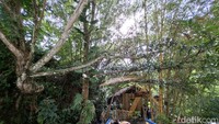 Di dalamnya terdapat saung-saung yang akan digunakan untuk menjajakan kuliner tradisonal setiap Sabtu dan Minggu. Areanya diselubungi pohon-pohon bambu sehingga menciptakan suasana yang teduh. Foto: Nur Khansa Ranawati