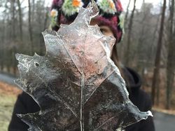 Potret Unik Fenomena Alam yang Bikin Mata Terpukau