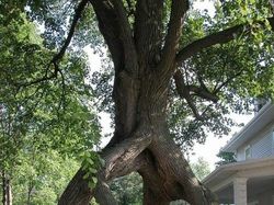 Potret Unik Fenomena Alam yang Bikin Mata Terpukau