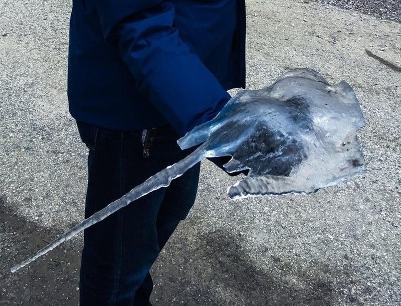 Potret Unik Fenomena Alam yang Bikin Mata Terpukau